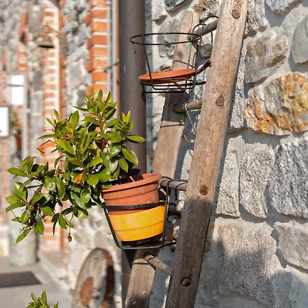 Residenza Jasmine Grey فيربانيا